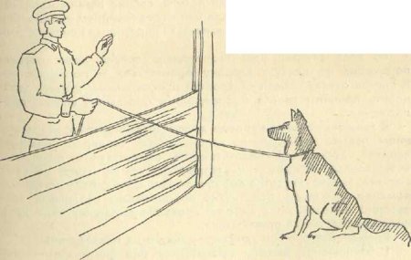 Кинолог рисунок