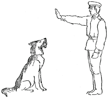 Техника дрессировки служебных собак