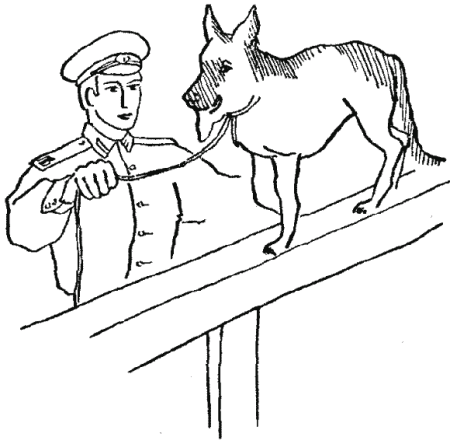 Раскраска пограничник