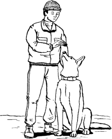 Человек с собакой рисунок