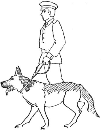 Раскраска Военная собака