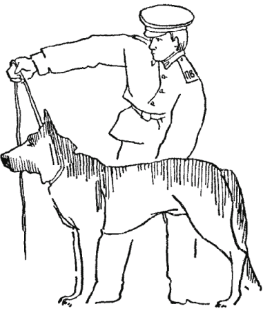 Раскраска Военная собака