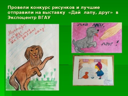 Конкурс рисунков дай лапу друг