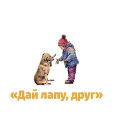 Дай лапу друг акция в школе
