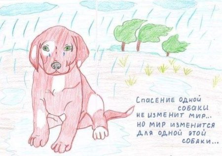 Помощь бездомным собакам рисунок