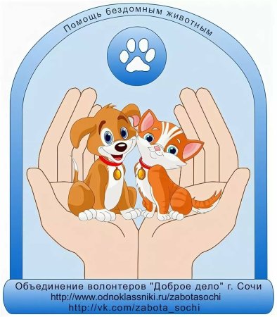 Плакат дай лапу друг