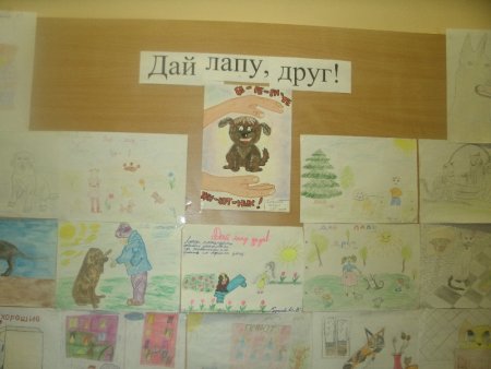 Лапа собаки и рука человека