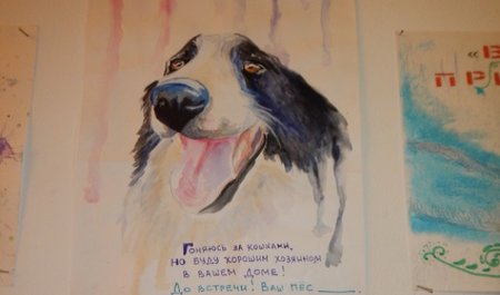 Дай лапу друг рисунок