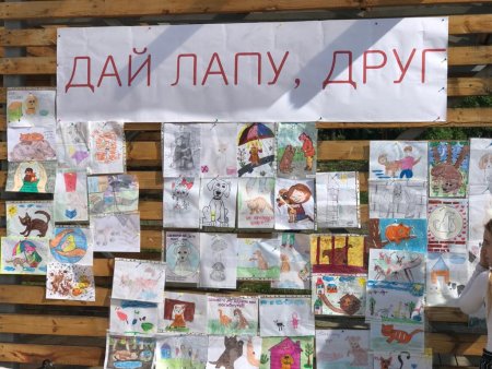 Собака дает лапу рисунок