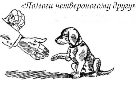 Дай лапу друг