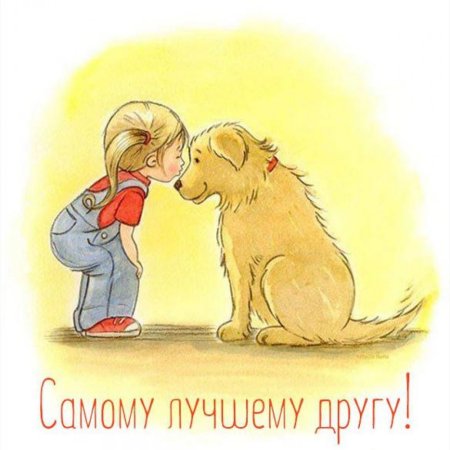 Дай лапу друг