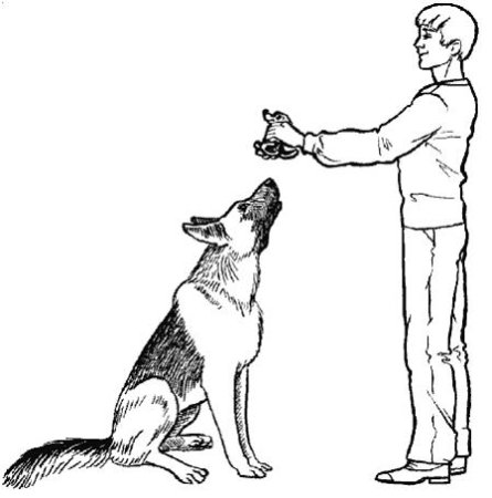 Собака на руках у человека рисунок
