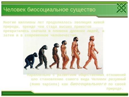 Человек как биосоциальное существо