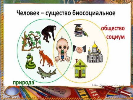 Человек биосоциальное существо Обществознание 6 класс