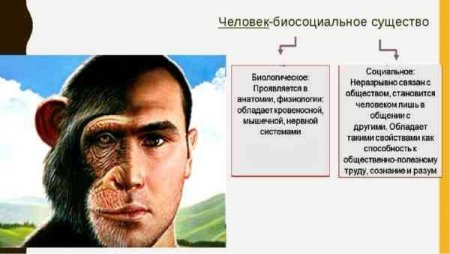 Человек биосоциальное существо