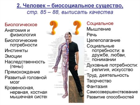 Био и соц в человеке