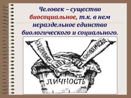 Человек биосоциальное существо