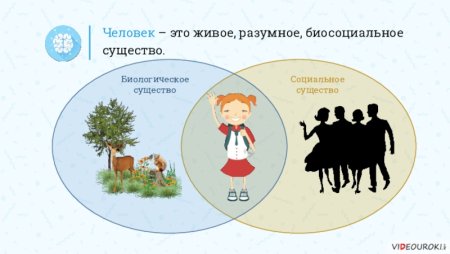 Человек биологическое существо