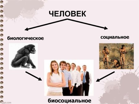 Биологичка и социальное в человеке