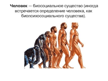 Биосоциальное в человеке