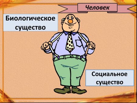Человек биологическое и социальное существо