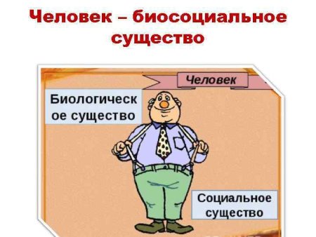 Человек биосоциальное существо Обществознание