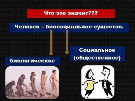 Биосоциальное в человеке