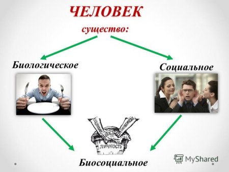 Человек социальное существо