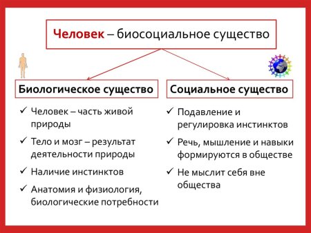 Человек биосоциальное существо Обществознание 6 класс