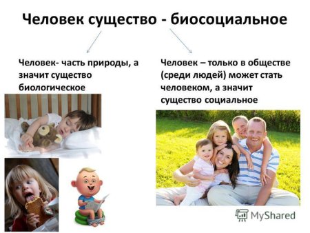 Человек биосоциальное существо и социальное