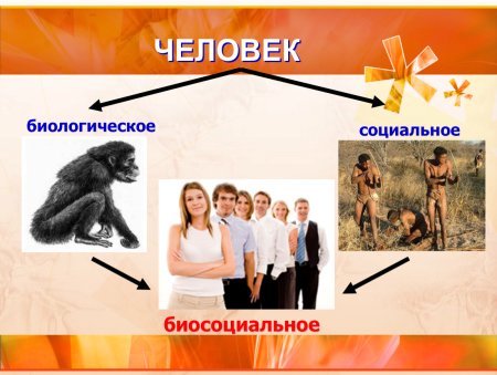 Человек существо биосоциальное презентация