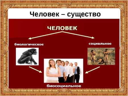 Человек это биосоциальное существо обладающее членораздельной речью