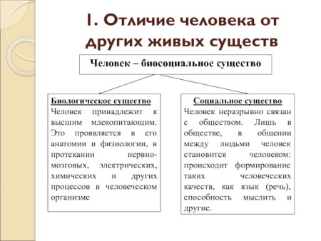 Эволюция человека для детей
