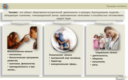 Человек как биосоциальное существо