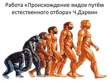 Человек биосоциальное существо Обществознание 6 класс