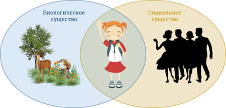 Человек биологическое существо