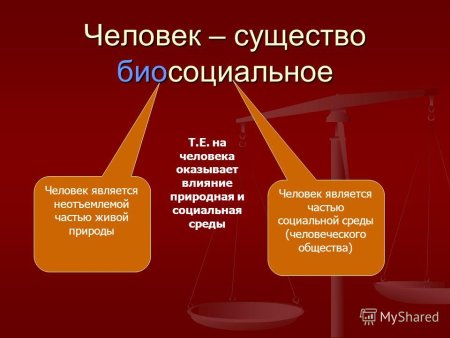 Человек как био социялное сушество?