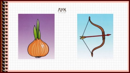 Омонимы картинки для детей
