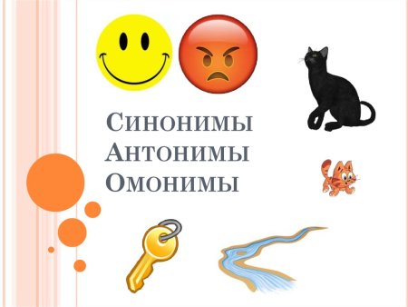 Синонимы и антонимы