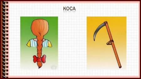 Коса омонимы