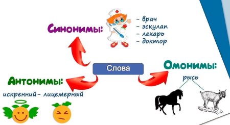 Синонимы антонимы омонимы