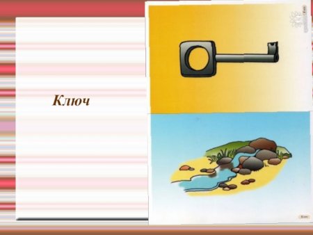 Омонимы рисунки