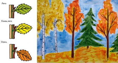 Рисование осенний лес подготовительная группа
