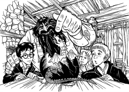 Раскраска Гарри Поттер и орден Феникса