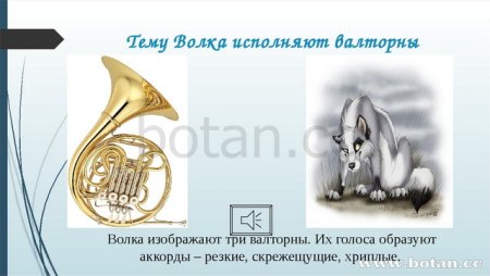 Валторна в сказке Петя и волк с Прокофьева