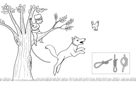 Симфоническая сказка Петя и волк инструменты