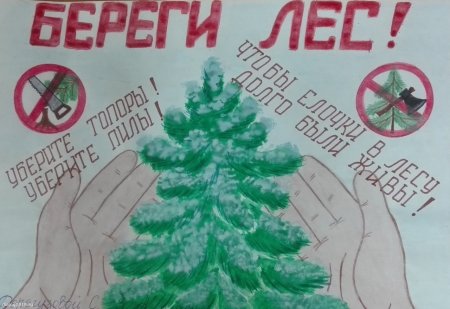 Плакат в защиту ели