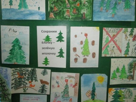 Сбережем елочку