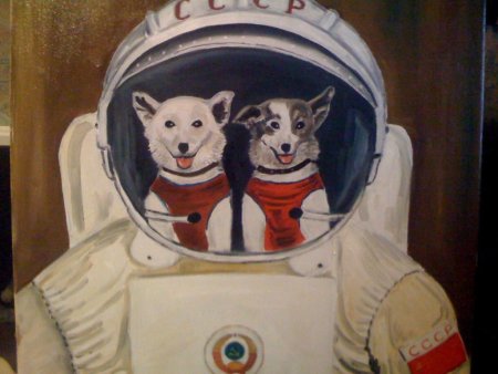 Белка и стрелка 1960