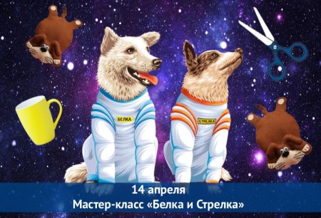 Животные в космосе для детей